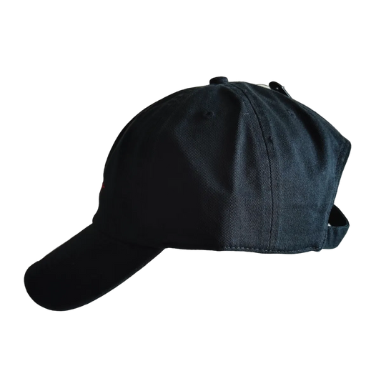 Heart Beats for Iran Dad Hat