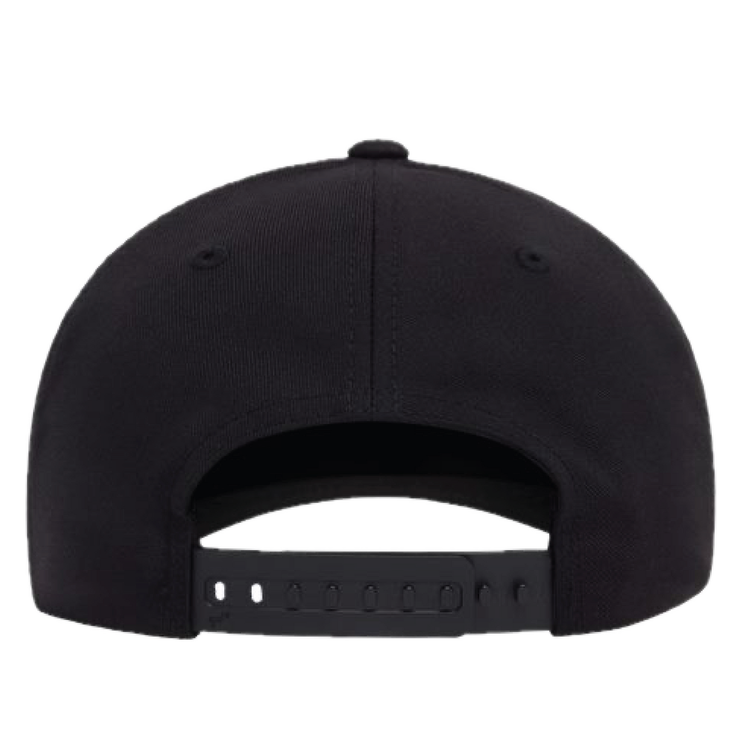 The Lion and the Sun Baseball Hat