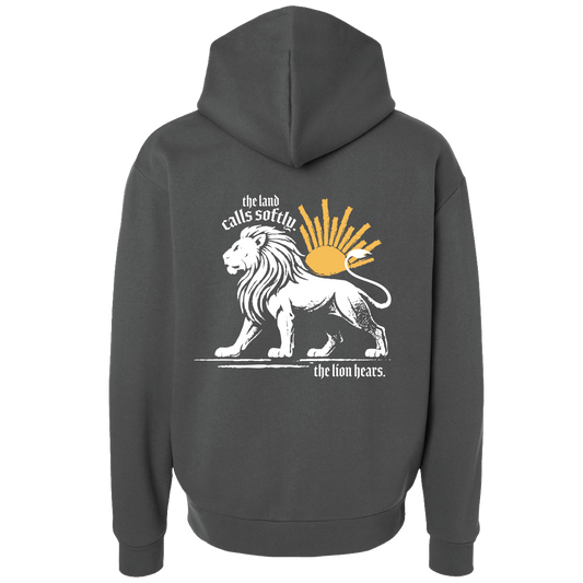 The Lion and the Sun Baggy Hoodie